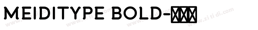 MEIDITYPE BOLD字体转换